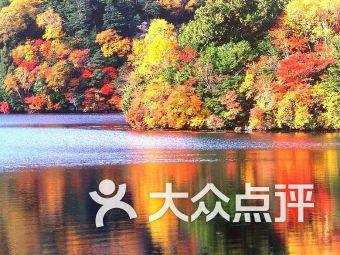 深入推进医疗机构信息互通共享