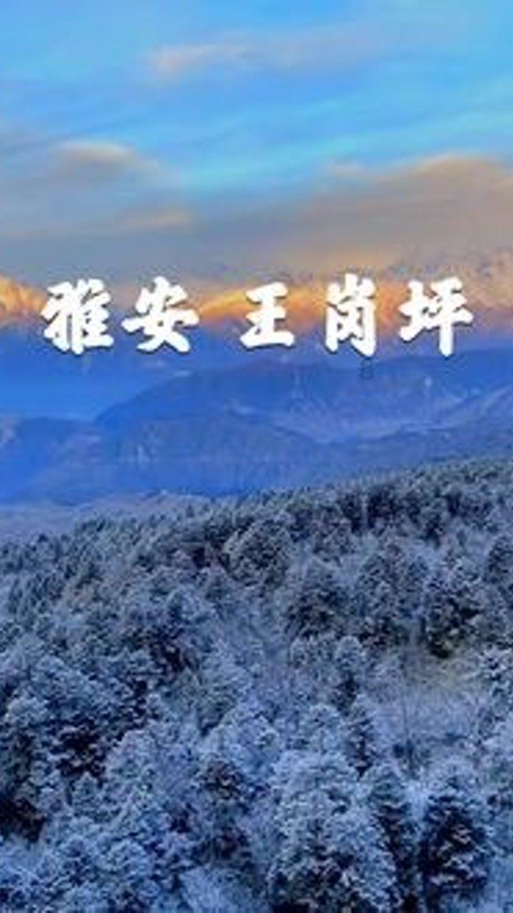 塔防三国志