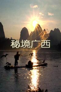 春雨直播app