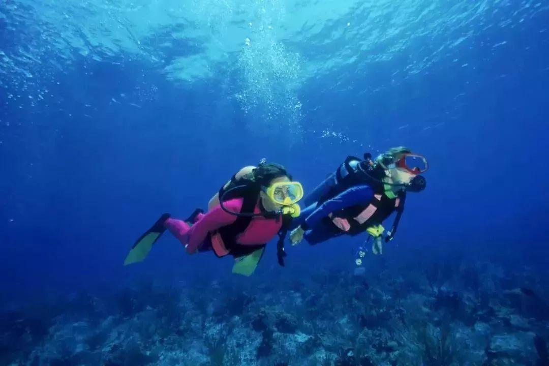 高考志愿填报时要格外注意哪些问题?红迪网—分享你的想法,畅所欲言
