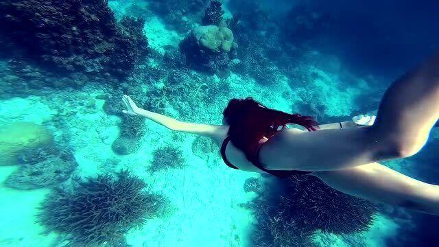 圣女之歌零