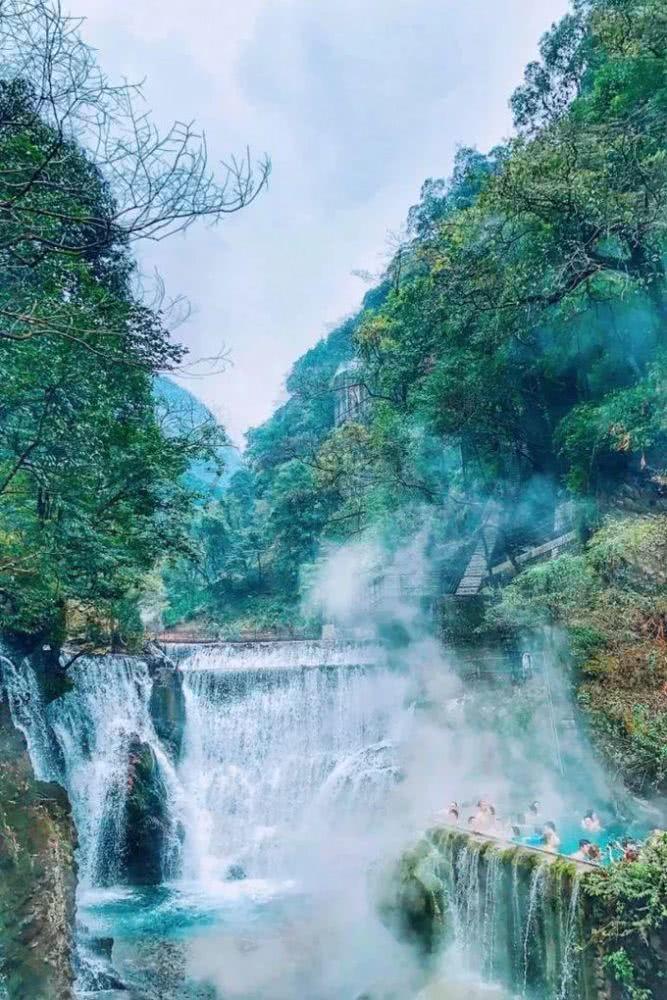 牛油果面包